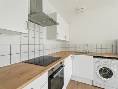 Picture 13